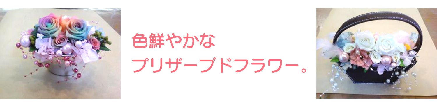 色鮮やかなプリザーブドフラワーも取扱っています